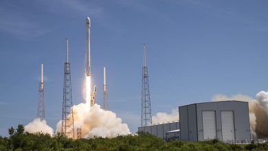 Morning briefing: SpaceX “to file” IPO prospectus; Int’l Biotechnology boosted by Merck bid for Terns; Golden Prospect considers management proposals from CQS, Tufton and others