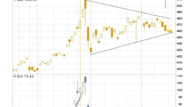 Topping Bitcoin & Other Clues for Gold & Silver Investors