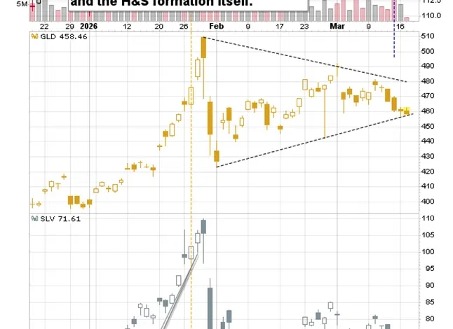 Topping Bitcoin & Other Clues for Gold & Silver Investors