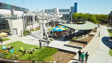 Nvidia vs. Alphabet: Which Stock Will Make You Richer?