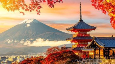 Japanese Institutions Turn to Crypto But Keep Allocations Small