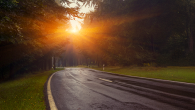 Recession lessons for every life stage