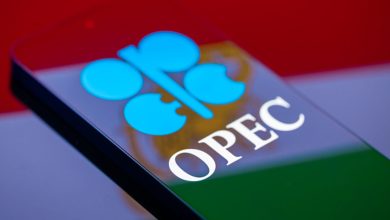 OPEC+ debates making oil output hike amid Iran war paralysis: Reuters OPEC+ debates making oil output hike amid Iran war paralysis: Reuters