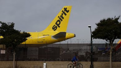 Trump says ‘maybe’ government should help struggling Spirit Airlines