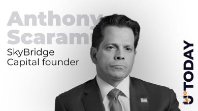 Scaramucci Tells Crypto Community Not to Feel Terrible About K