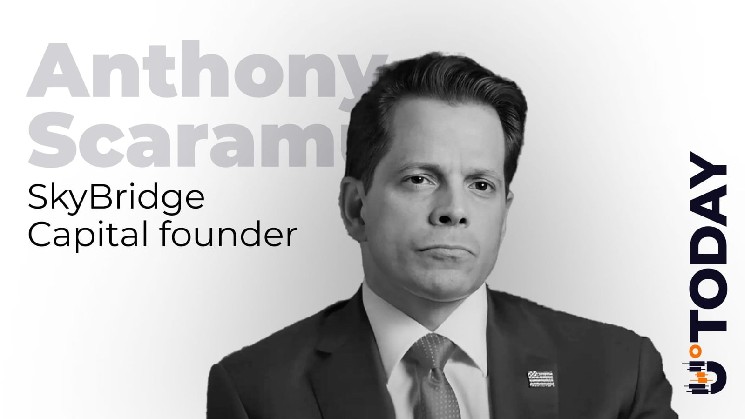 Scaramucci Tells Crypto Community Not to Feel Terrible About K Scaramucci Tells Crypto Community Not to Feel Terrible About K