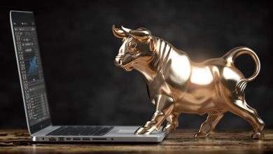 Buy This AI Stock to Own SpaceX Pre-IPO and Hold It Through the Robotaxi Boom