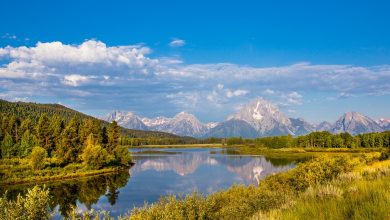 Power Metallic as a Lever for Strategic Metal Supply Power Metallic as a Lever for Strategic Metal Supply