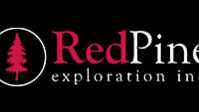 RPX Gold Announces Upsize of Previously Announced “Best Efforts” LIFE Offering and Private Placement to C,300,000