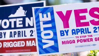 Virginia Supreme Court considers whether to block voter-approved US House map favoring Democrats