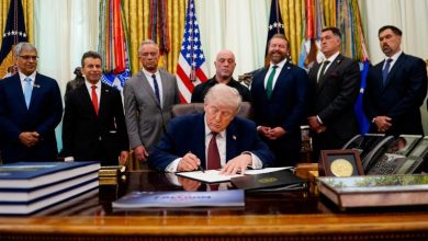 Trump signs executive order urging more research into ibogaine and other psychedelics