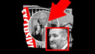 TMZ Gets Political | The New Yorker