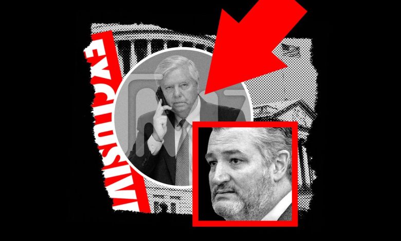 TMZ Gets Political | The New Yorker