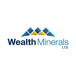 Wealth Minerals Provides Corporate Update
