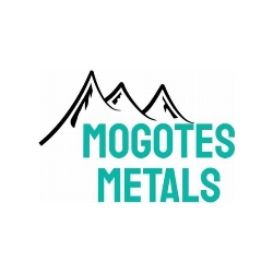 Mogotes Announces Grant of Options