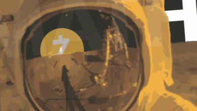 Zcash Jumped 49% Last Week As Privacy Coins Outperform Bitcoin and Ethereum