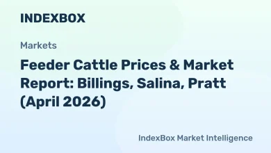 USDA Feeder Cattle Prices & Futures Report – April 2026 Market Data – News and Statistics USDA Feeder Cattle Prices & Futures Report – April 2026 Market Data – News and Statistics