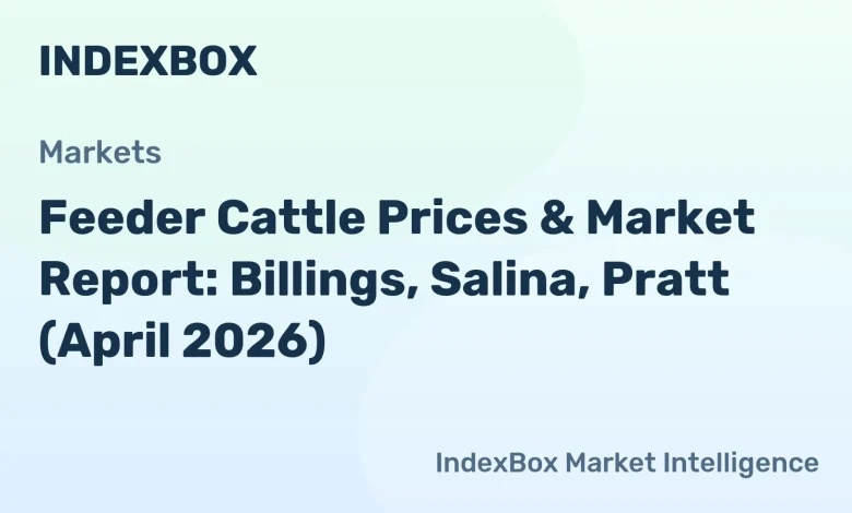 USDA Feeder Cattle Prices & Futures Report – April 2026 Market Data – News and Statistics USDA Feeder Cattle Prices & Futures Report – April 2026 Market Data – News and Statistics