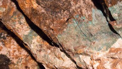 Power Metallic Mines reports high-grade copper intersections at Lion Zone