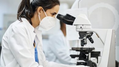 Pharma leads gains as healthcare sector rebounds