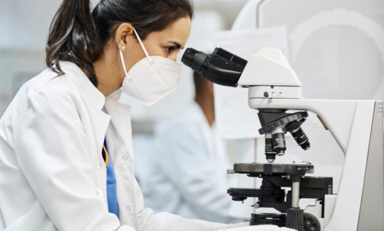 Pharma leads gains as healthcare sector rebounds