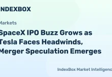 SpaceX IPO Anticipated Amid Industry Enthusiasm, Tesla Merger Speculation | 2026 – News and Statistics