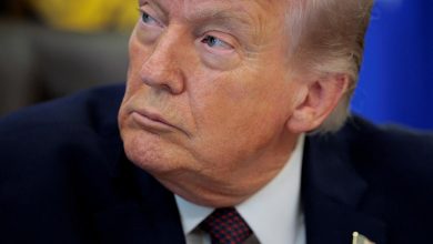 Stocks Rise, Oil Pares Gain After Report of Talks: Markets Wrap