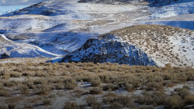 Revival Gold: Six Million Ounces. Valued at Fifth of NAV. The Market Is Still Doing the Math – Article