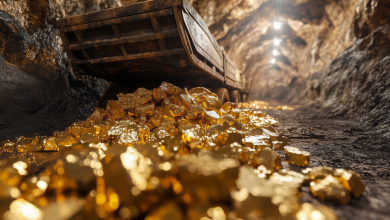 Capricorn Metals Falls Despite Mt Gibson Gold Upgrade