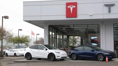 Tesla Drops 4% as EV Demand Fears, SpaceX IPO Uncertainty, April 22 Earnings Loom Large
