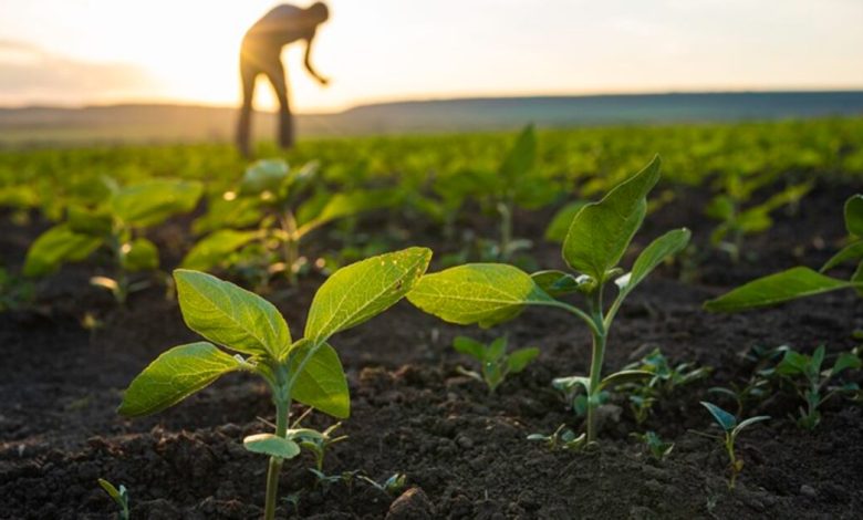 Syngenta mulls IPO, sees double-digit growth in biologicals