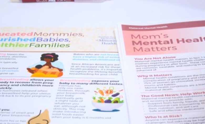 Healthy Moms, Healthy Futures event brings education to metro area moms