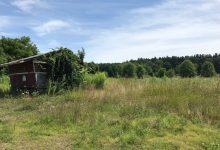 There could be creative way to finance conservation