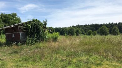 There could be creative way to finance conservation