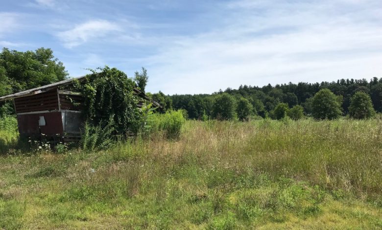 There could be creative way to finance conservation There could be creative way to finance conservation