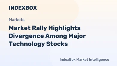 Tech Stock Rally 2026: Divergence Among Major Players Revealed – News and Statistics