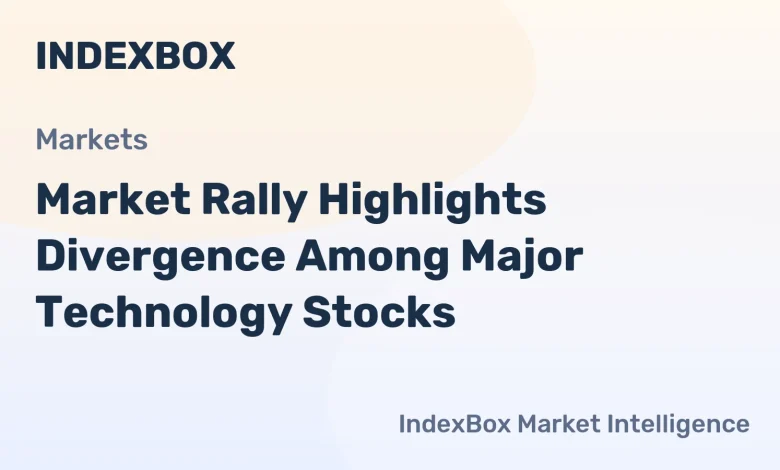 Tech Stock Rally 2026: Divergence Among Major Players Revealed – News and Statistics