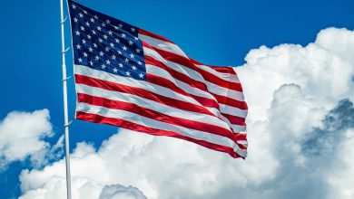 The Political Value of Being in the Minority The Political Value of Being in the Minority