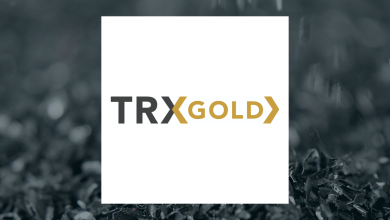 TRX Gold Q2 Earnings Call Highlights TRX Gold Q2 Earnings Call Highlights
