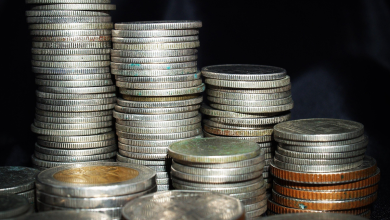 Why Google Discover changes matter more now