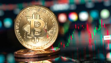 Why this Japanese pharma gem deserves your attention now