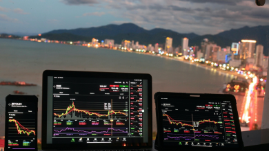 Is its wide-moat pharma strategy strong enough to unlock new upsid