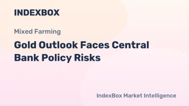 Gold Stuck as Central Bank Policies Pose Downside Risks: Market Analysis – News and Statistics