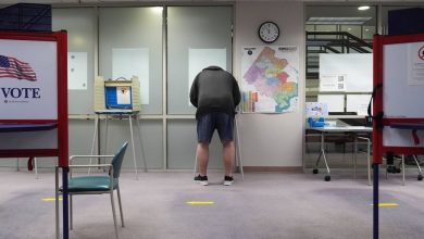 Virginia voters deciding on redistricting plan that could boost Democrats’ seats in Congress