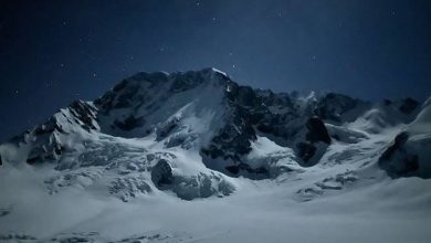 No Trade Zone – by Arthur Hayes No Trade Zone – by Arthur Hayes