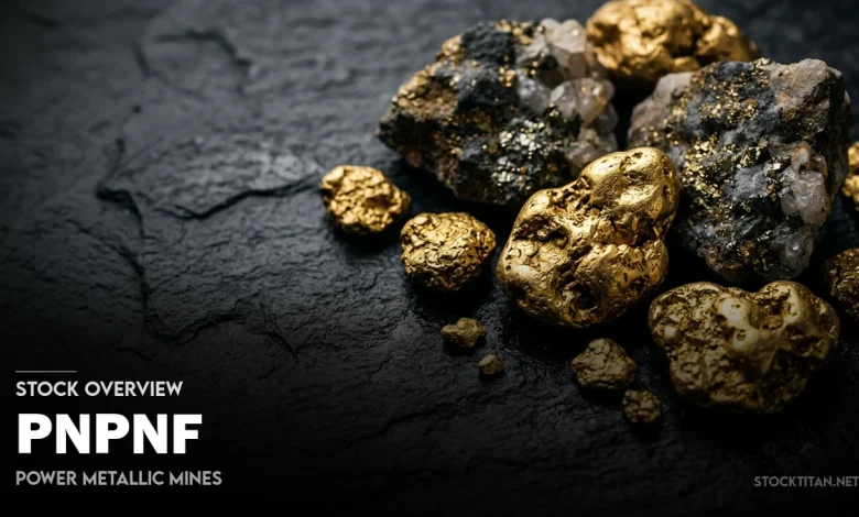 PNPNF Stock Price, News & Analysis