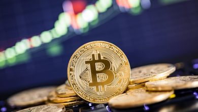 Powered by Crypto, Cyber Crime Cost Montana M in 2025