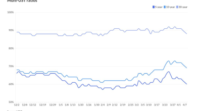 Munis see gains ceasefire sparks risk on rally Munis see gains ceasefire sparks risk on rally