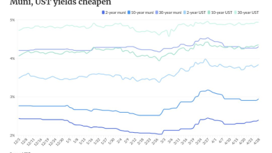 Munis cheapen, USTs end mixed