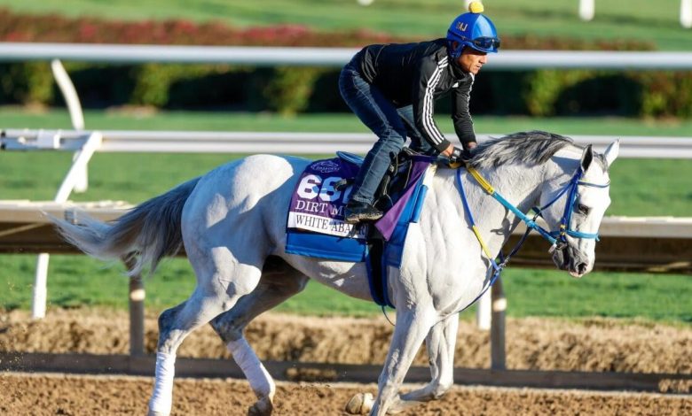 2026 Kentucky Derby horses, odds, futures, preview, date: Expert who hit 12 Derby-Oaks Doubles unveils picks